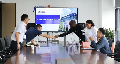 Desenvolvimento de negócios transfronteiriços | Clientes zambianos visitaram a Hanxing Energy e tiveram trocas aprofundadas